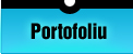 Portofoliu Web Design