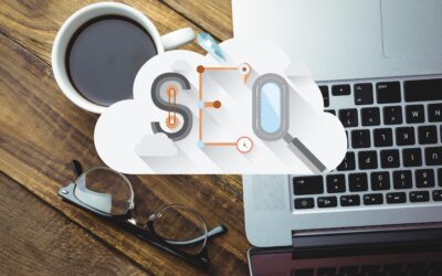 SEO : Abonamentele Lunare Si Preturile