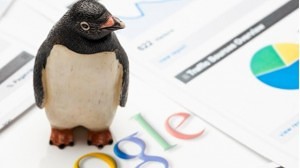 Un pinguin pe foi cu Google