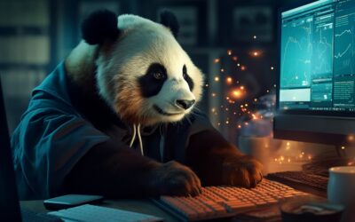 SEO – Dupa Actualizarea de Algoritm Google Panda 4.0