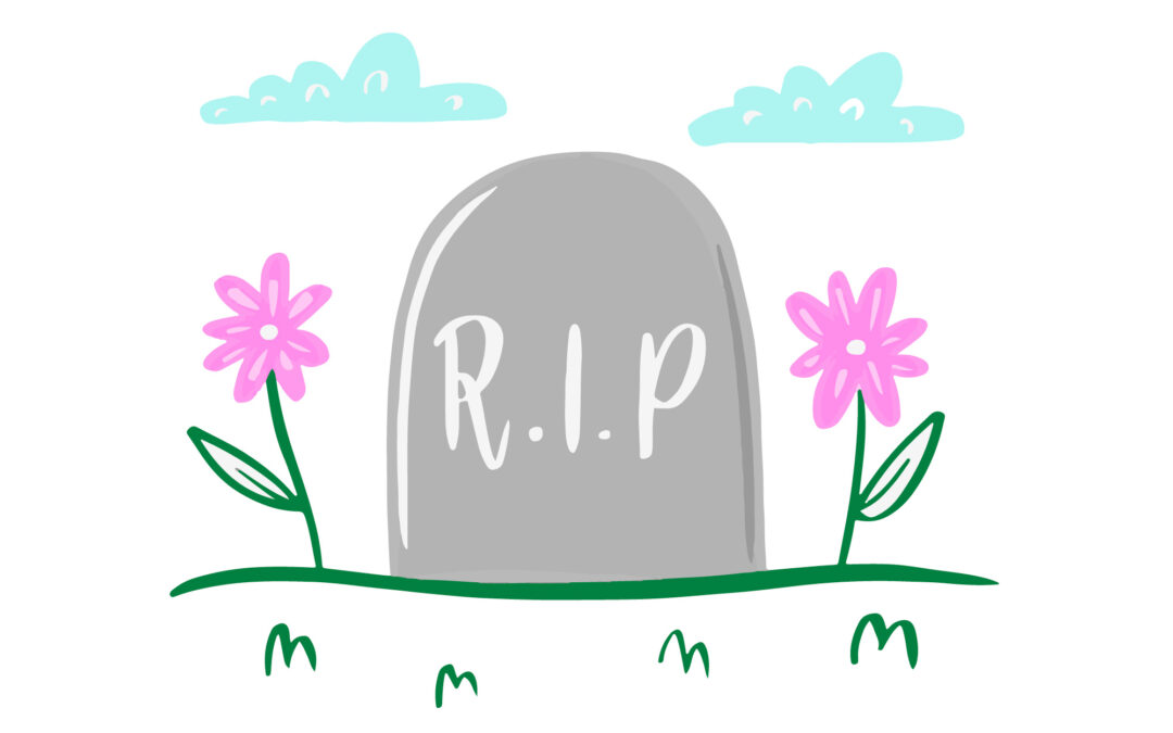 Afla de ce SEO nu moare si cum creste Google