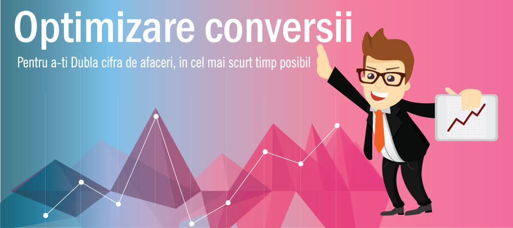 optimizare conversii