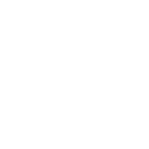 silkweb-logo-transparent