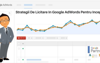Strategii De Licitare In Google AdWords Pentru Incepatori
