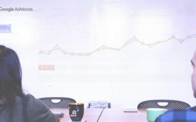 De Ce Sa Lasi Agentia Sa Iti Administreze Contul De Google AdWords