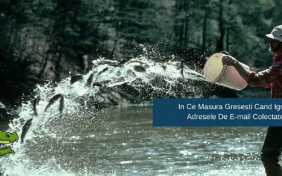 In Ce Masura Gresesti Cand Ignori Adresele De E-mail Colectate