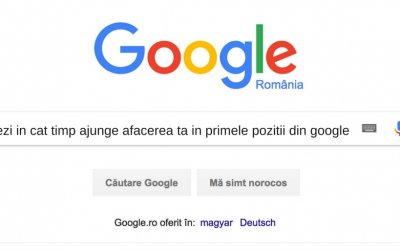 Google Spune: In SEO Este Nevoie de 4 Luni Pana la 1 An Pentru Imbunatatirea Rezultatelor