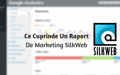 Ce Cuprinde Un Raport De Marketing SilkWeb