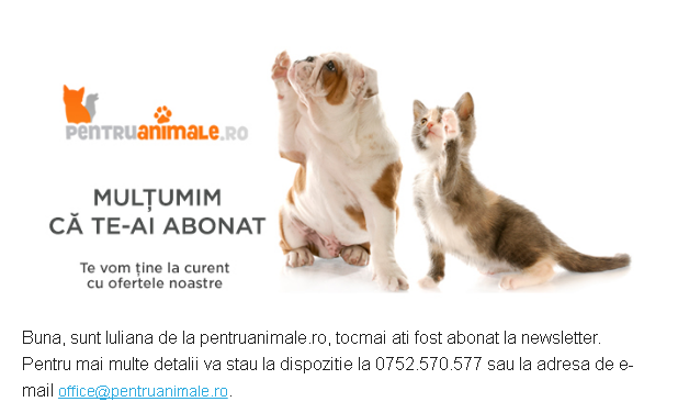 campanii de trimitere email