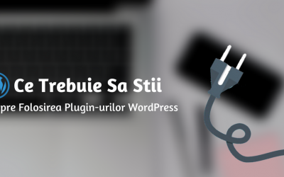 Ce Trebuie Sa Stii Despre Folosirea Plugin-urilor WordPress