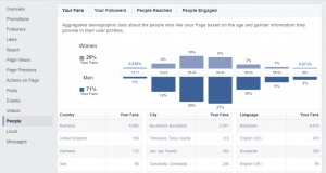 audiente facebook ads