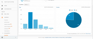 demografice google analytics