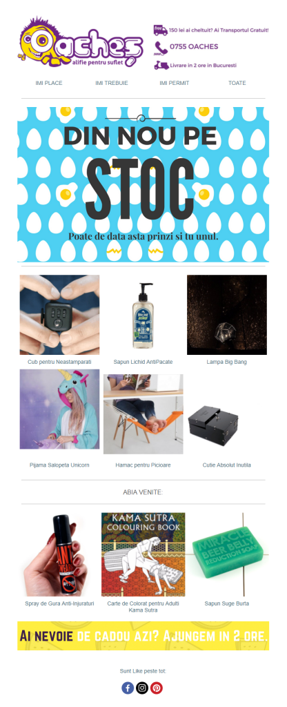 newsletter oaches