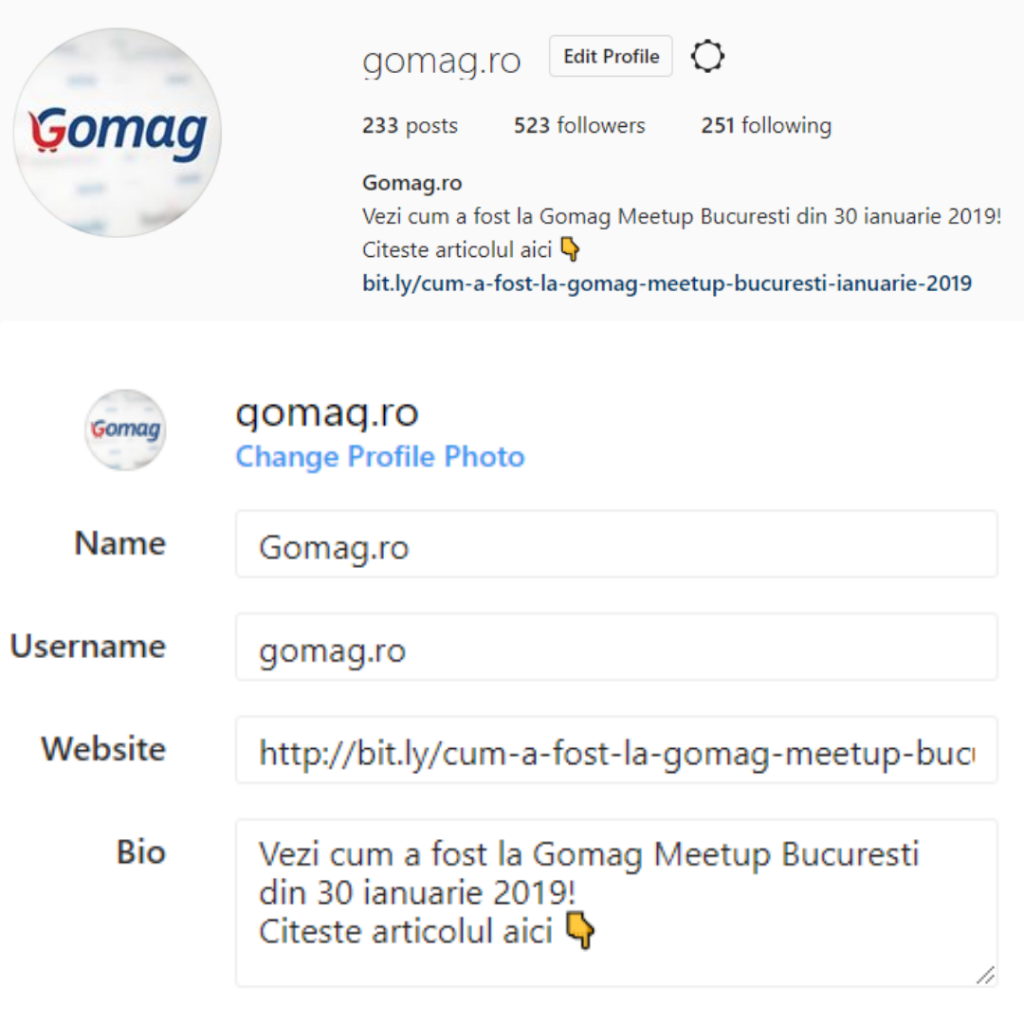 Bio Instagram