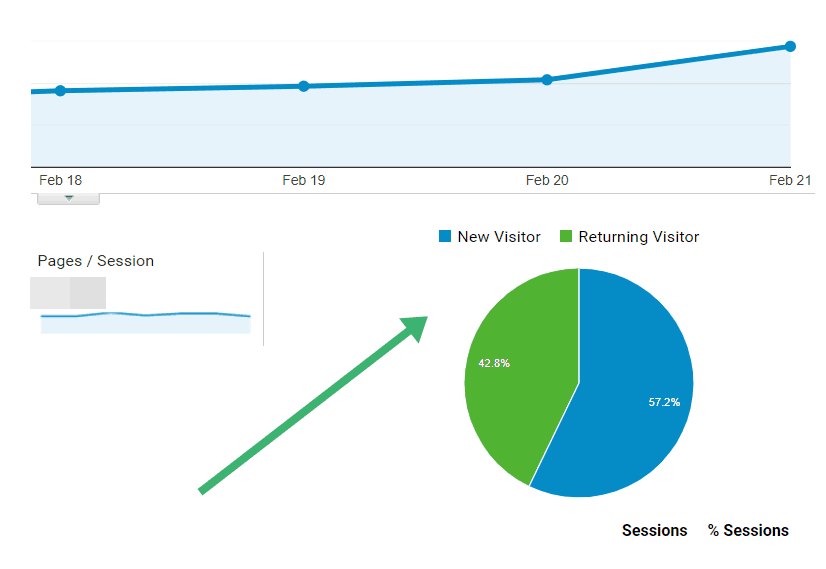 google analytics raport audienta